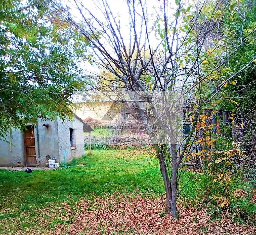 Locales comerciales y Vivienda en pleno centro de Alumine