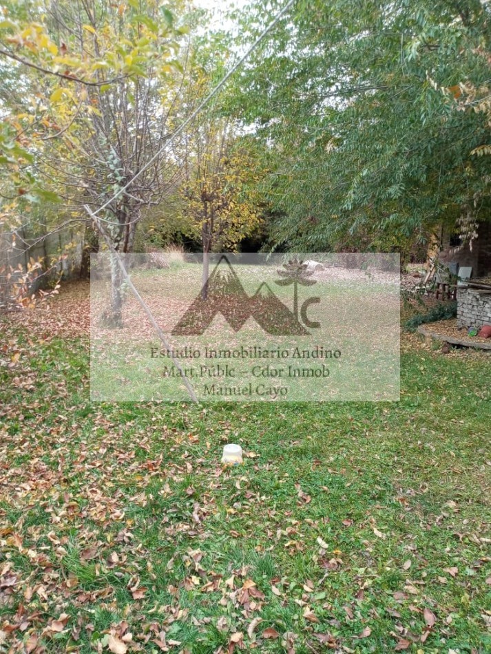 Locales comerciales y Vivienda en pleno centro de Alumine