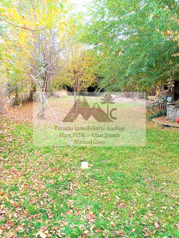 Locales comerciales y Vivienda en pleno centro de Alumine