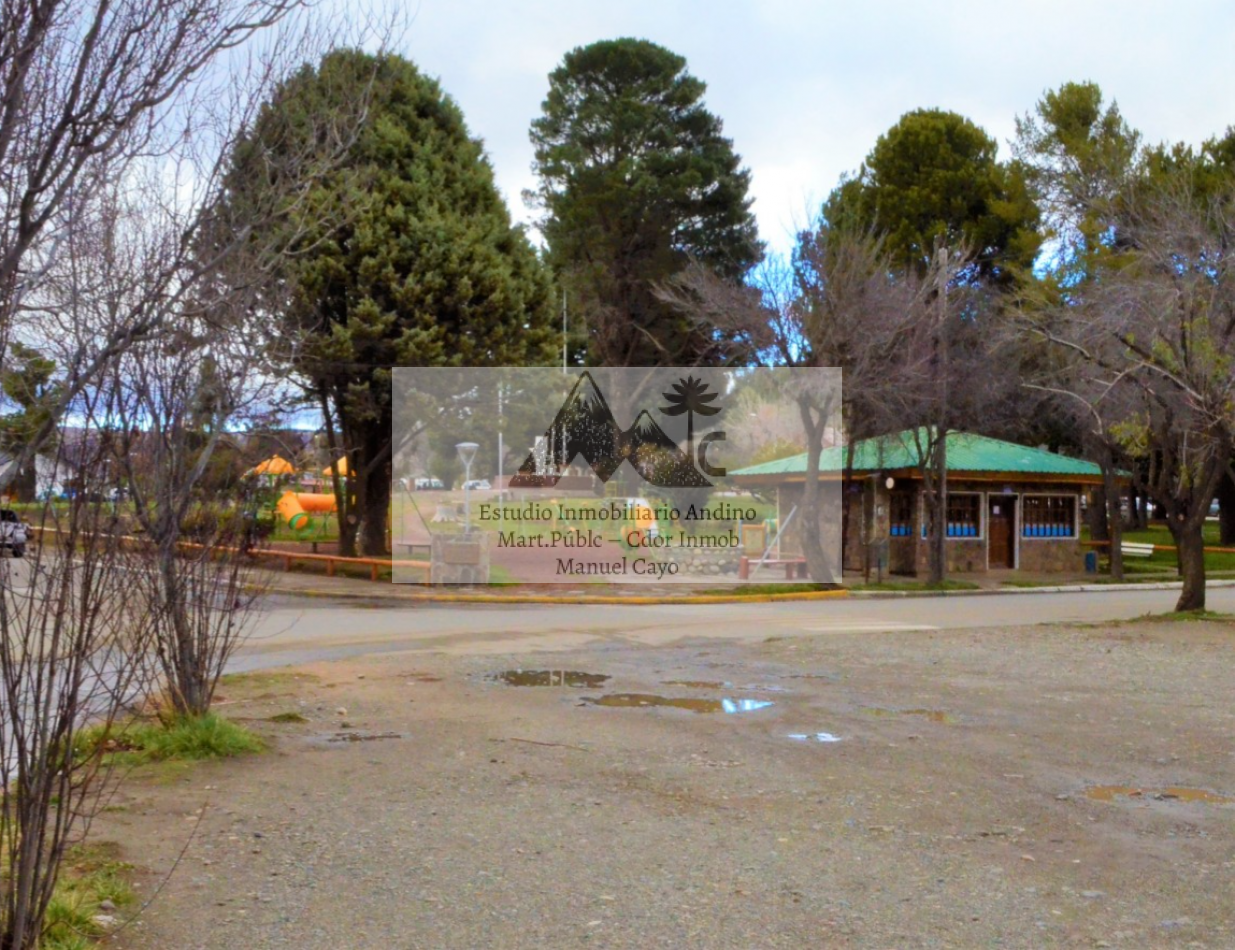 Locales comerciales y Vivienda en pleno centro de Alumine