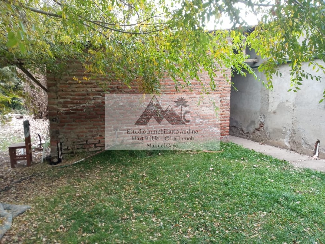 Locales comerciales y Vivienda en pleno centro de Alumine