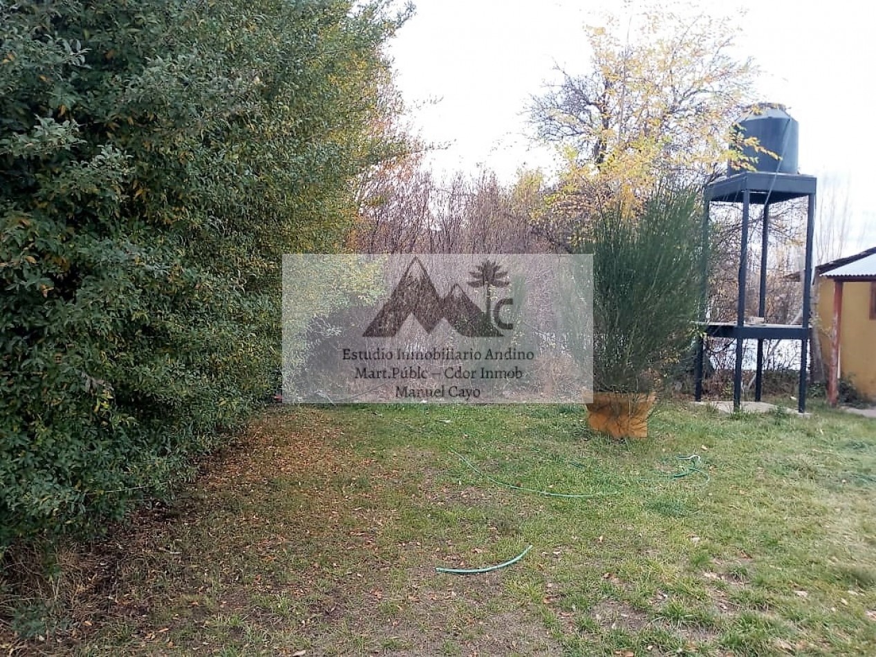 Locales comerciales y Vivienda en pleno centro de Alumine