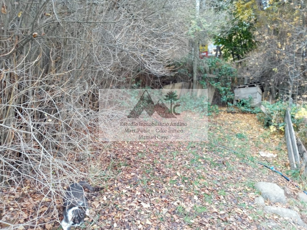 Locales comerciales y Vivienda en pleno centro de Alumine