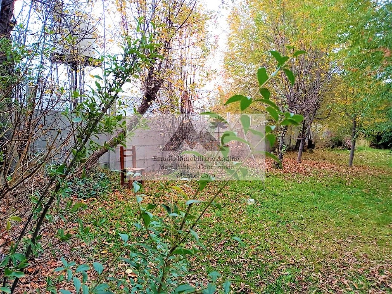 Locales comerciales y Vivienda en pleno centro de Alumine