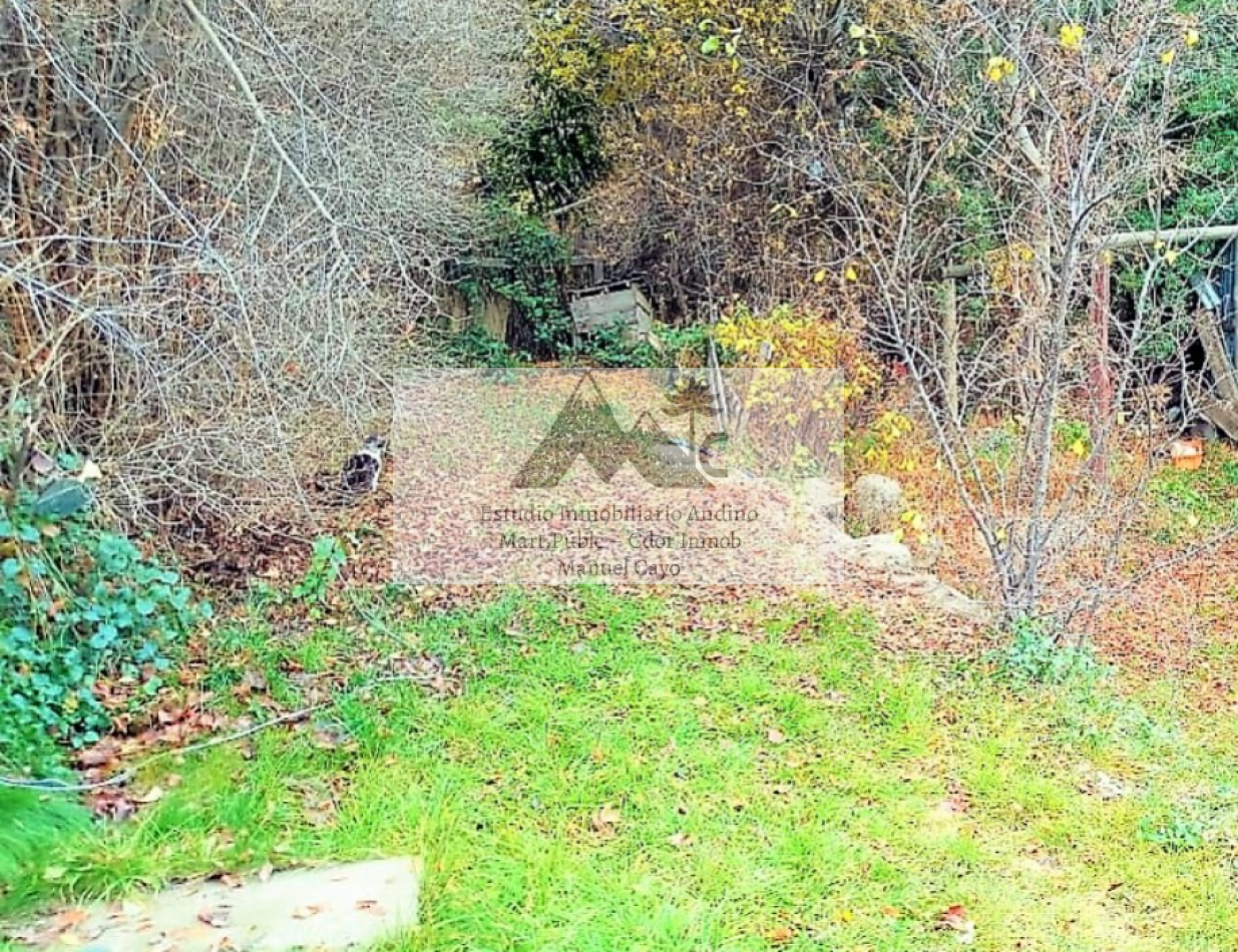 Locales comerciales y Vivienda en pleno centro de Alumine