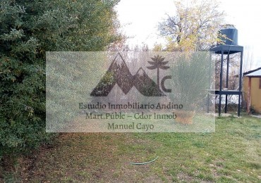 Locales comerciales y Vivienda en pleno centro de Alumine