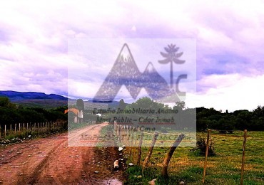 Excepcional Loteo a metros de la Entrada a Alumine 